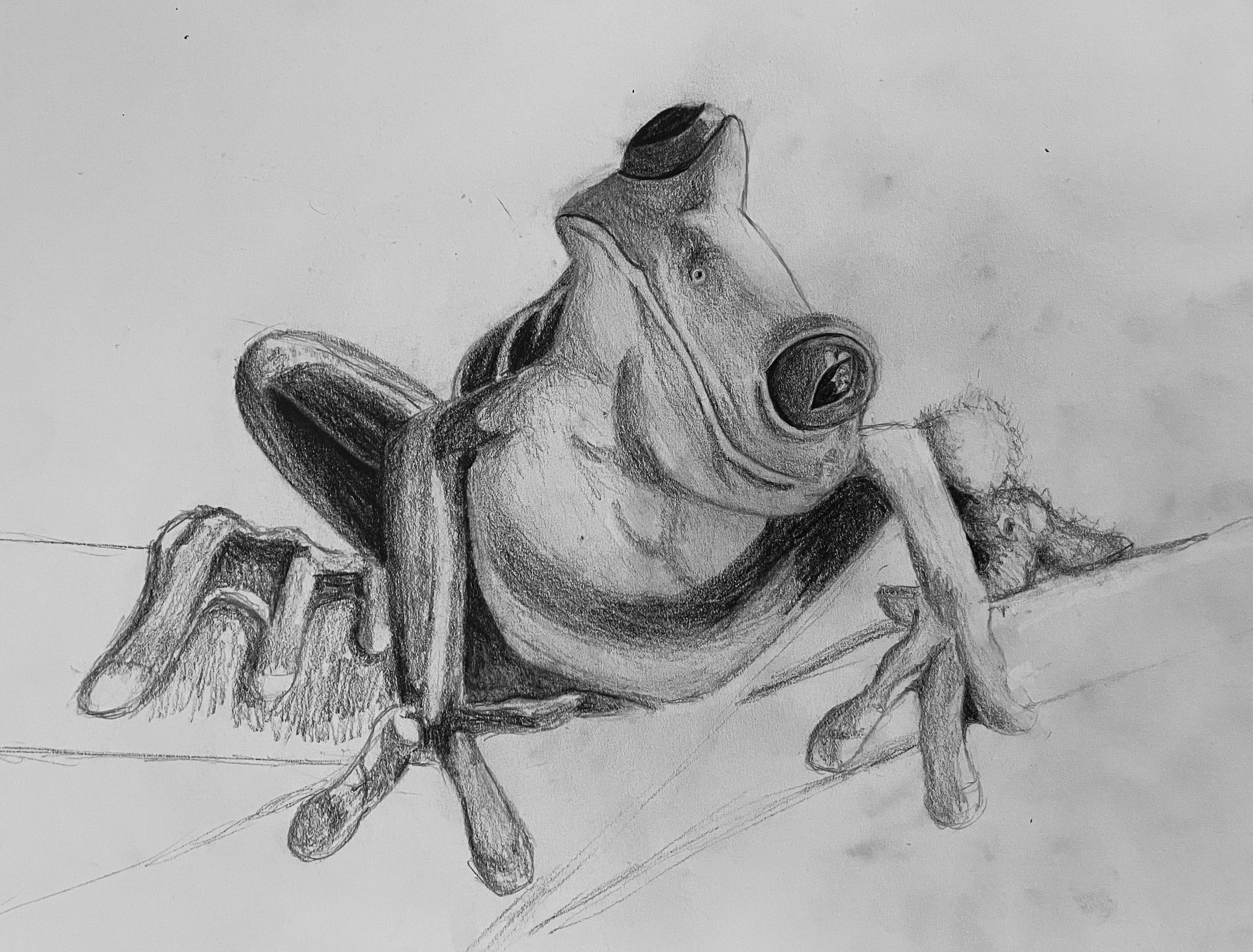 Traditional Illustrations